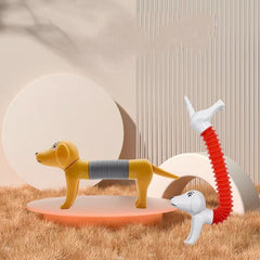 Spring Dog Pop Tubes Sensory Stress Relief Toy Set